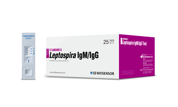 SD BIOSENSOR STANDARD Q° Leptospira IgM/IgG